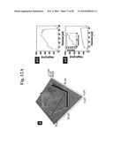 Gold binding peptides and shape-and size-tunable synthesis of gold nanostructures diagram and image