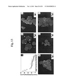 Gold binding peptides and shape-and size-tunable synthesis of gold nanostructures diagram and image