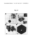 Gold binding peptides and shape-and size-tunable synthesis of gold nanostructures diagram and image