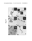 Gold binding peptides and shape-and size-tunable synthesis of gold nanostructures diagram and image