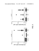 FUNGUS-INDUCED INFLAMMATION AND EOSINOPHIL DEGRANULATION diagram and image