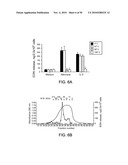 FUNGUS-INDUCED INFLAMMATION AND EOSINOPHIL DEGRANULATION diagram and image