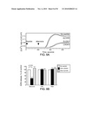 FUNGUS-INDUCED INFLAMMATION AND EOSINOPHIL DEGRANULATION diagram and image