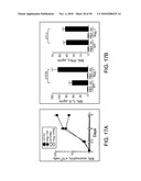 FUNGUS-INDUCED INFLAMMATION AND EOSINOPHIL DEGRANULATION diagram and image