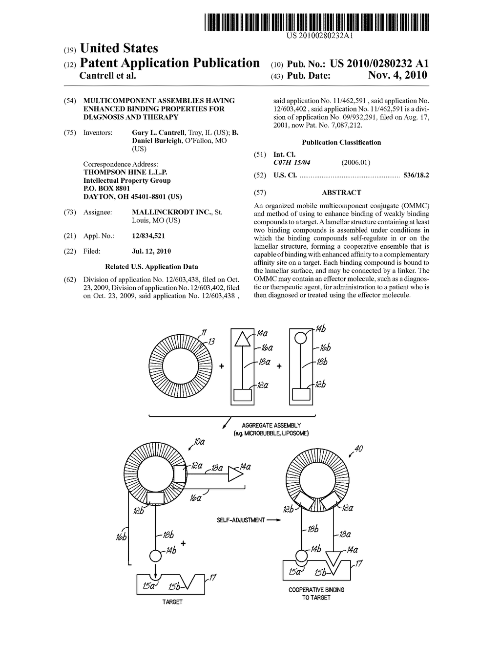 MULTICOMPONENT ASSEMBLIES HAVING ENHANCED BINDING PROPERTIES FOR DIAGNOSIS AND THERAPY - diagram, schematic, and image 01