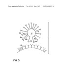 MULTICOMPONENT ASSEMBLIES HAVING ENHANCED BINDING PROPERTIES FOR DIAGNOSIS AND THERAPY diagram and image