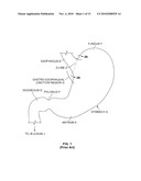 ENDOSCOPIC IMPLANT SYSTEM AND METHOD diagram and image