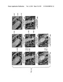 System and Method for Analyzing Biological Samples Using Raman Molecular Imaging diagram and image