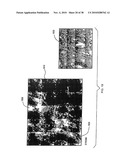 System and Method for Analyzing Biological Samples Using Raman Molecular Imaging diagram and image