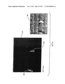 System and Method for Analyzing Biological Samples Using Raman Molecular Imaging diagram and image