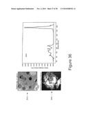 System and Method for Analyzing Biological Samples Using Raman Molecular Imaging diagram and image
