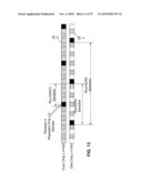 FORWARD ERROR CORRECTION MEDIA ACCESS CONTROL SYSTEM diagram and image