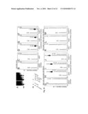 ADS Genes For Reducing Saturated Fatty Acid Levels In Seed Oils diagram and image