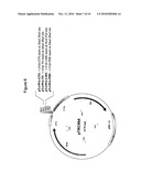 Jet fuel compositions and methods of making and using same diagram and image