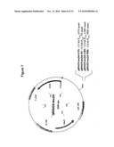 Jet fuel compositions and methods of making and using same diagram and image