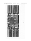 Detection of nitric oxide diagram and image