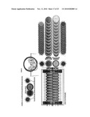 GRINDING CONTAINER FOR THE SELECTIVE COLLECTION OF SOLID URBAN WASTE AND VARIOUS SPECIAL ADAPTATIONS FOR EACH TYPE OF WASTE, INCLUDING A DOMESTIC GRINDING CONTAINER diagram and image