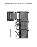 GRINDING CONTAINER FOR THE SELECTIVE COLLECTION OF SOLID URBAN WASTE AND VARIOUS SPECIAL ADAPTATIONS FOR EACH TYPE OF WASTE, INCLUDING A DOMESTIC GRINDING CONTAINER diagram and image