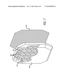 Energy focusing system for active denial apparatus diagram and image