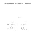 FUNCTIONALIZED NANOPARTICLES AND METHOD diagram and image