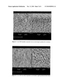 FUNCTIONALIZED NANOPARTICLES AND METHOD diagram and image