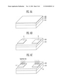 BIOSENSOR USING NANODOT AND METHOD OF MANUFACTURING THE SAME diagram and image