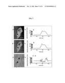 OPTICAL CYTOMETRY diagram and image