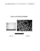 OPTICAL CYTOMETRY diagram and image