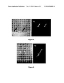 PYRROLE END-CAPPED BIPYRIDINE ASSAY POWDER FOR SELECTIVE DETECTION OF ZINC IONS AND A PROCESS FOR THE PREPARATION THEREOF diagram and image