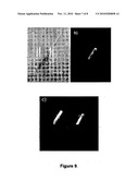 PYRROLE END-CAPPED BIPYRIDINE ASSAY POWDER FOR SELECTIVE DETECTION OF ZINC IONS AND A PROCESS FOR THE PREPARATION THEREOF diagram and image