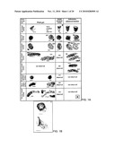 Methods and Agents for Inhibiting Tumor Growth by Targeting the SSDNA Replication Intermediate of Tumor Stem Cells diagram and image