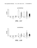 IMMUNOTHERAPY TARGETING OF THE SHARED ABNORMAL CONFORMATIONAL STATE OF AMYLOIDOGENIC PEPTIDES/PROTEINS diagram and image