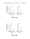 IMMUNOTHERAPY TARGETING OF THE SHARED ABNORMAL CONFORMATIONAL STATE OF AMYLOIDOGENIC PEPTIDES/PROTEINS diagram and image