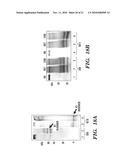 IMMUNOTHERAPY TARGETING OF THE SHARED ABNORMAL CONFORMATIONAL STATE OF AMYLOIDOGENIC PEPTIDES/PROTEINS diagram and image