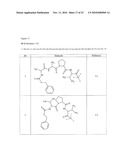 Methods and Compositions for Delivery of Medicaments to the Lungs diagram and image