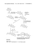 Methods and Compositions for Delivery of Medicaments to the Lungs diagram and image