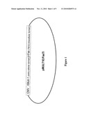 POLYPEPTIDES COMPRISING FAS ACTIVATION AND NKG2D-LIGAND DOMAINS diagram and image