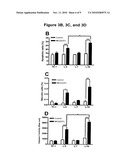 POLYPEPTIDES COMPRISING FAS ACTIVATION AND NKG2D-LIGAND DOMAINS diagram and image