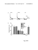 ADENOSINE AND ITS MIMETICS. MODULATORS, TRANSPORT INHIBITORS, AND RECEPTOR AGONISTS AS A THERAPEUTIC TOOL TO REPLACE OR IMPROVE THE EFFICACY OF DEEP BRAIN STIMULATION diagram and image