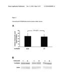 15-PGDH IN COLON CANCER diagram and image