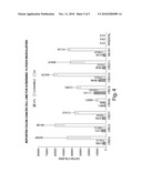 15-PGDH IN COLON CANCER diagram and image