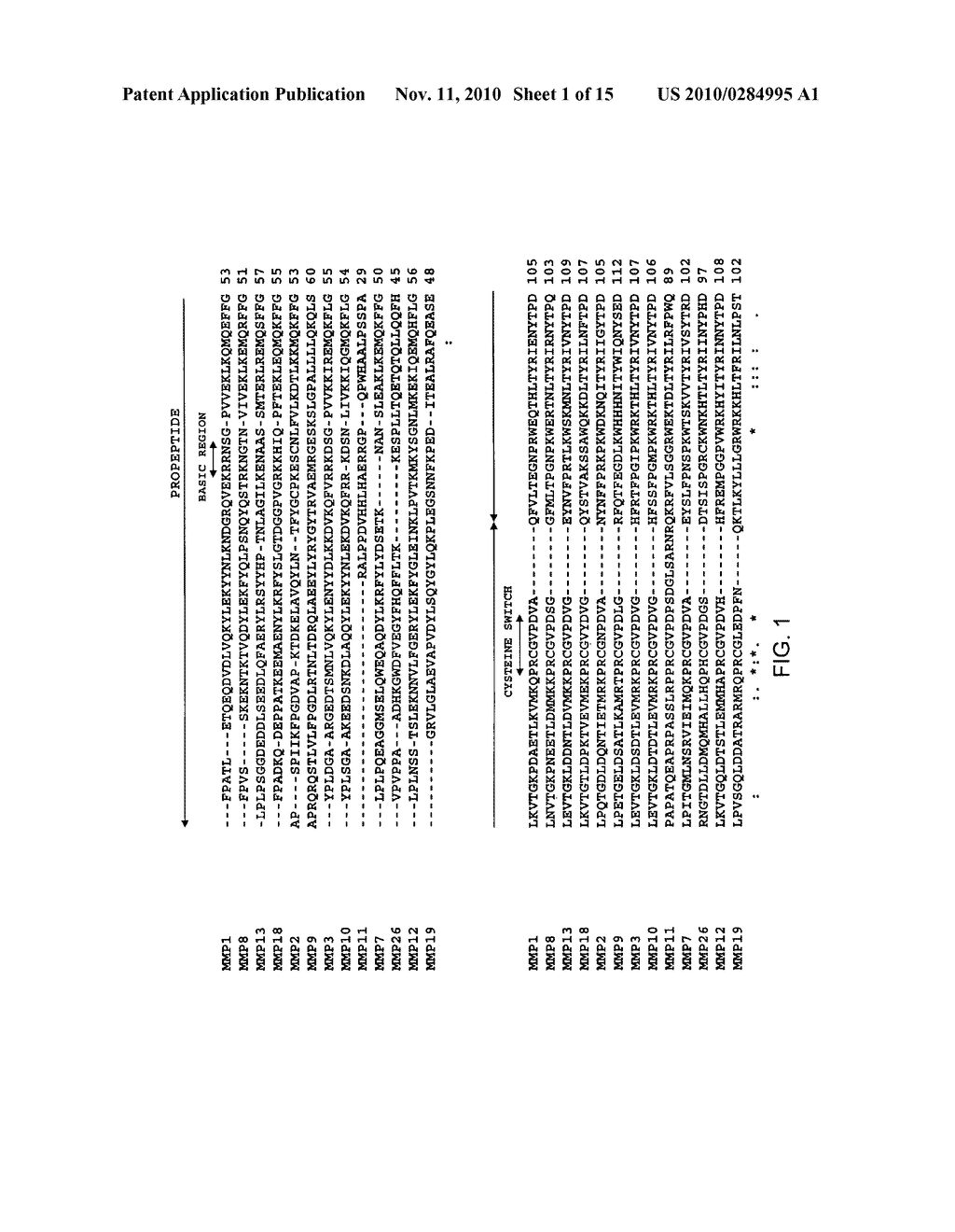 Temperature sensitive mutants of matrix metalloproteases and uses thereof - diagram, schematic, and image 02