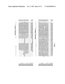 Temperature sensitive mutants of matrix metalloproteases and uses thereof diagram and image