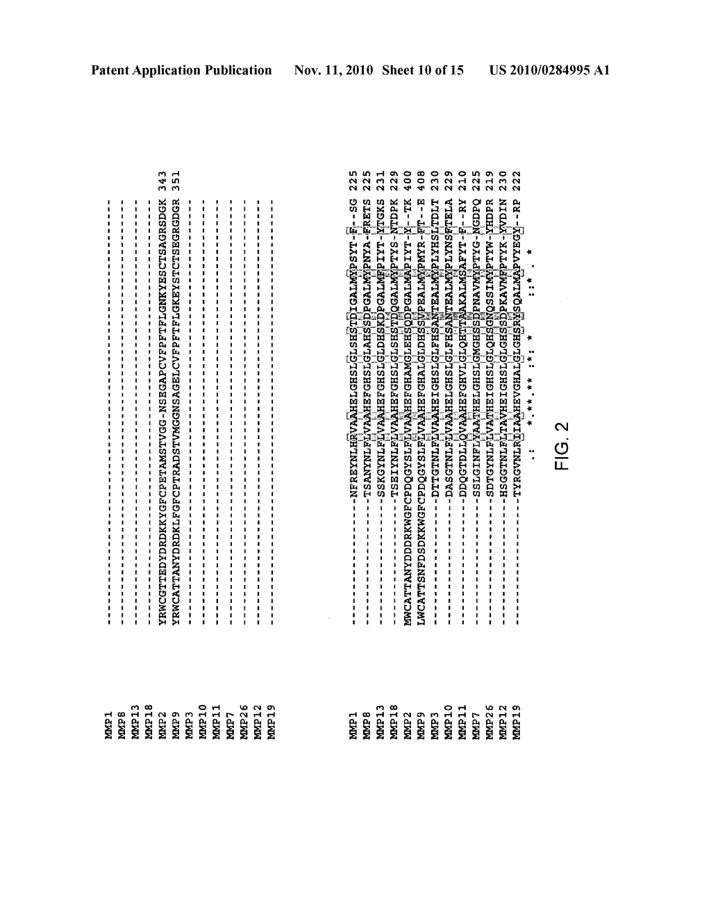 Temperature sensitive mutants of matrix metalloproteases and uses thereof - diagram, schematic, and image 11