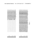 Temperature sensitive mutants of matrix metalloproteases and uses thereof diagram and image