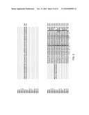 Temperature sensitive mutants of matrix metalloproteases and uses thereof diagram and image