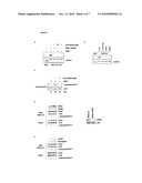 PHOSPHORYLATION OF HISTONE H3 AT THREONINE 11 - A NOVEL EPIGENETIC MARK FOR TRANSCRIPTIONAL REGULATION diagram and image