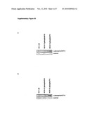 PHOSPHORYLATION OF HISTONE H3 AT THREONINE 11 - A NOVEL EPIGENETIC MARK FOR TRANSCRIPTIONAL REGULATION diagram and image