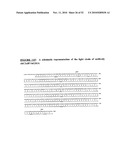 Antibodies to Ox-2/Cd200 and Uses Thereof diagram and image