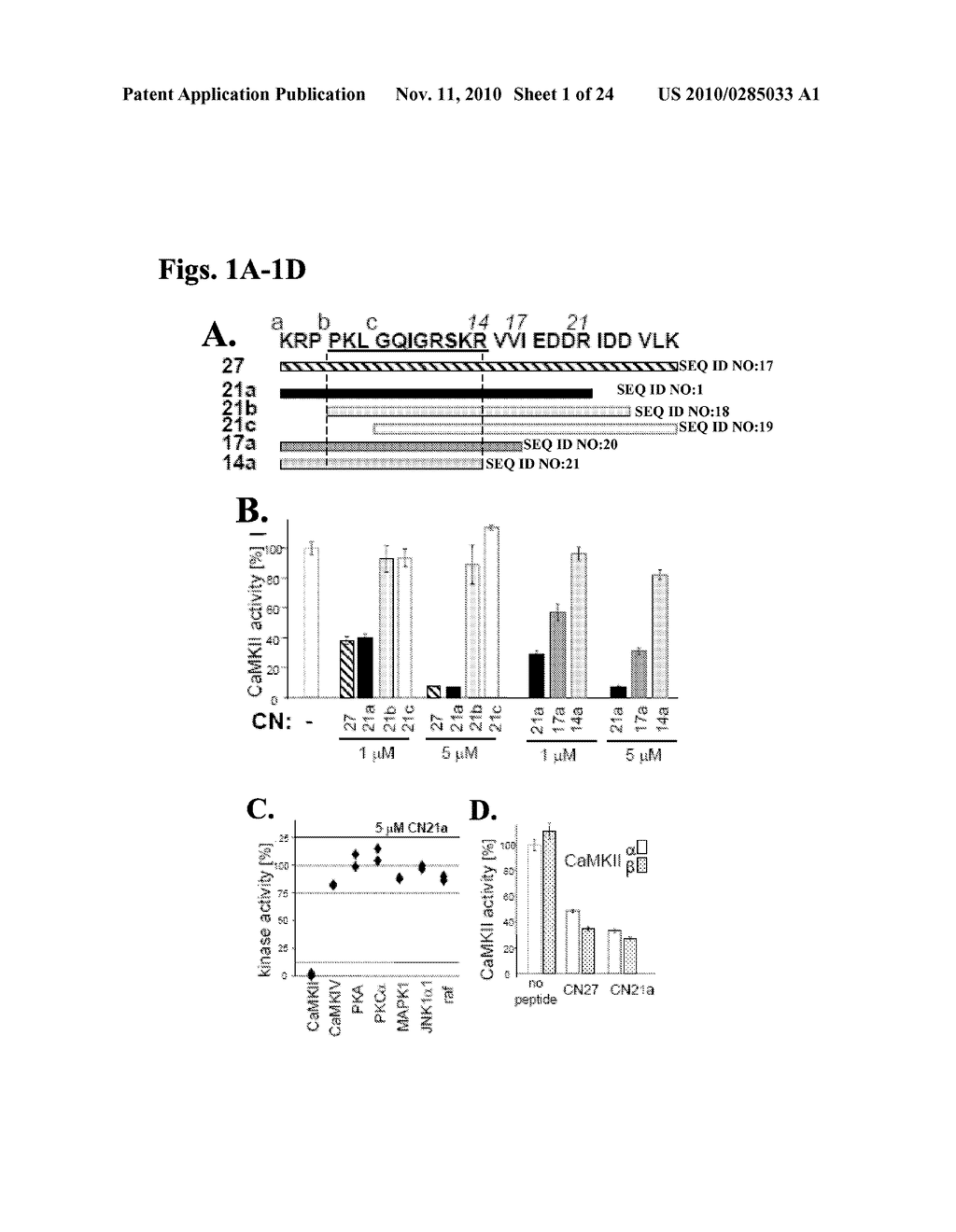 COMPOSITIONS AND METHODS FOR CaMKII INHIBITORS AND USES THEREOF - diagram, schematic, and image 02